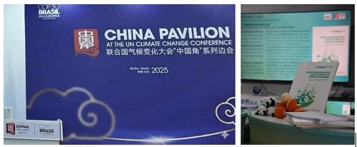 17651603688700859Jwt.jpg 1.jpg